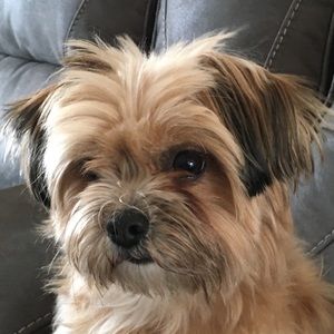 Meet your Posher, Jade